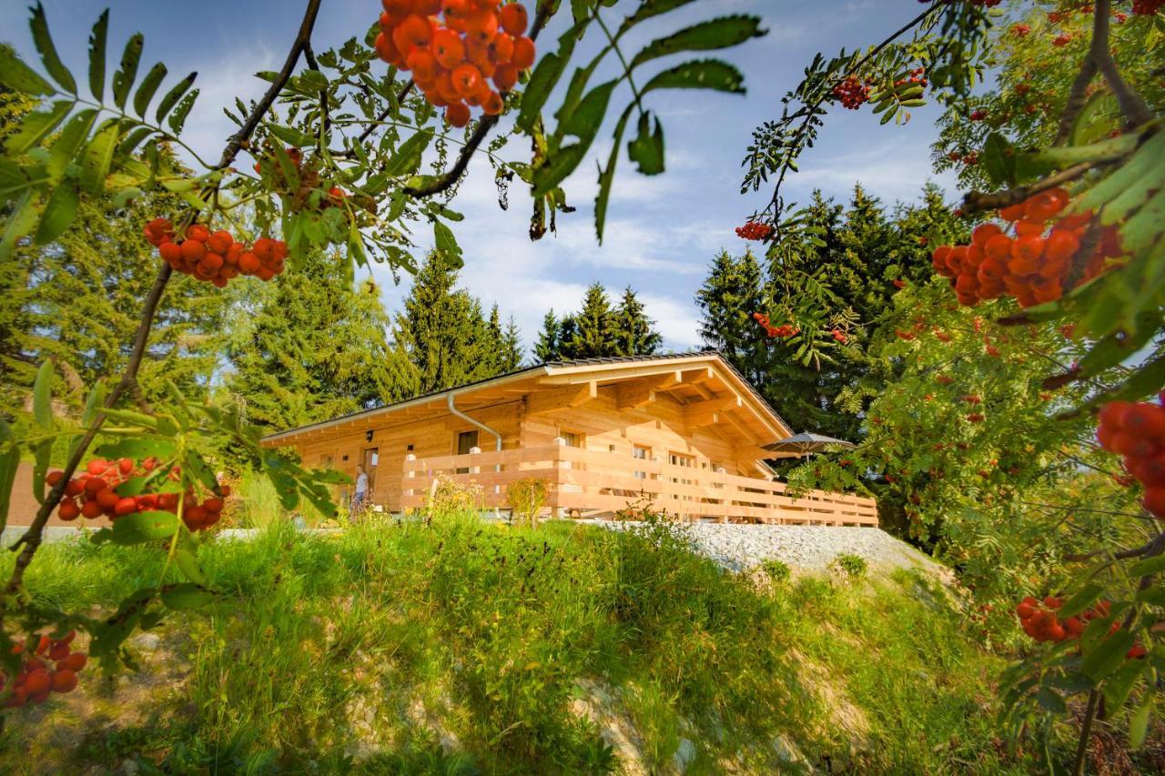 Das Wistlberg Wohlfuehlchalet Mauth Ngoại thất bức ảnh